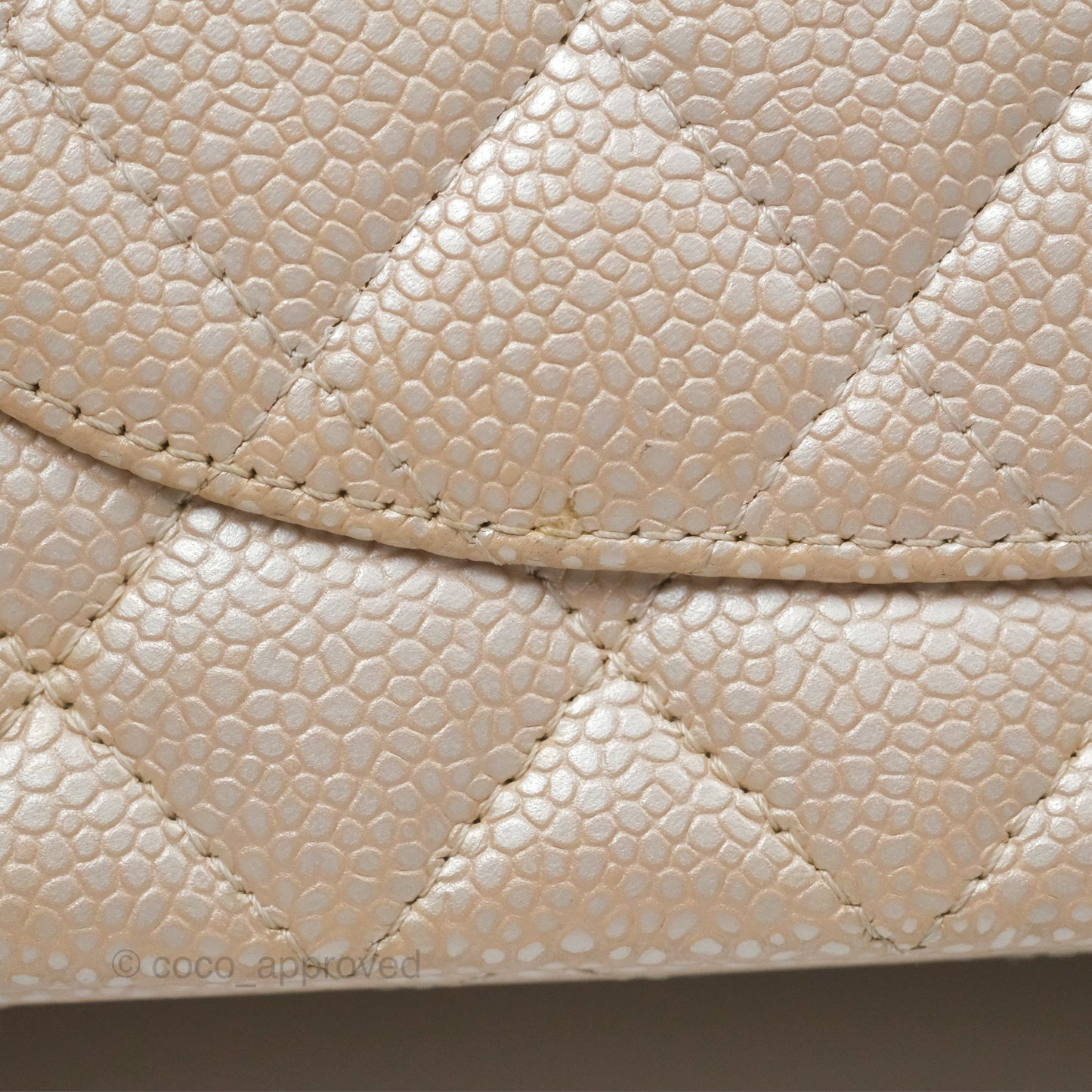 Chanel Classic M/L Medium Double Flap Iridescent Pearly Caviar Aged Gold Hardware⁣⁣