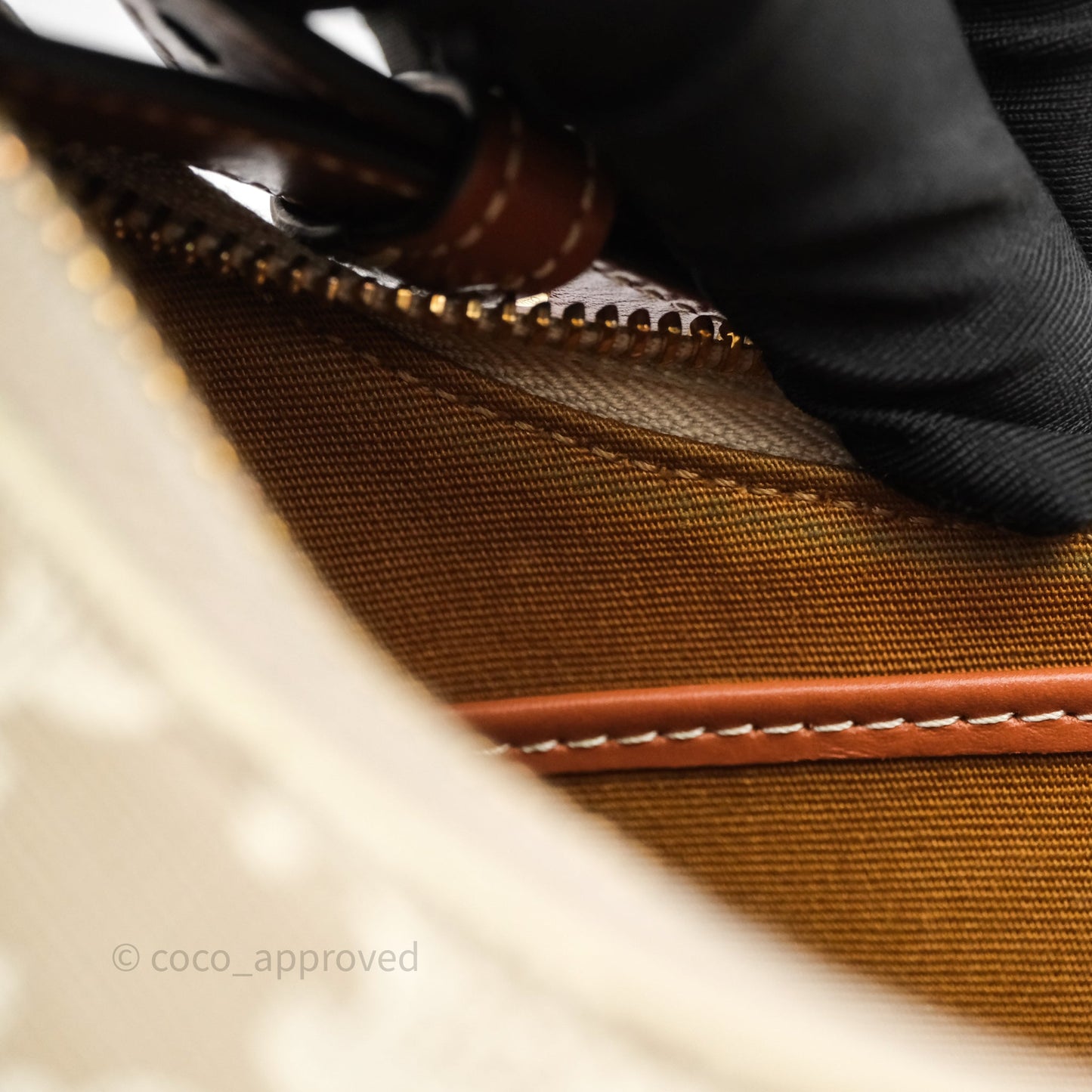 Celine Ava Bag In Triomphe Canvas Calfskin Grege