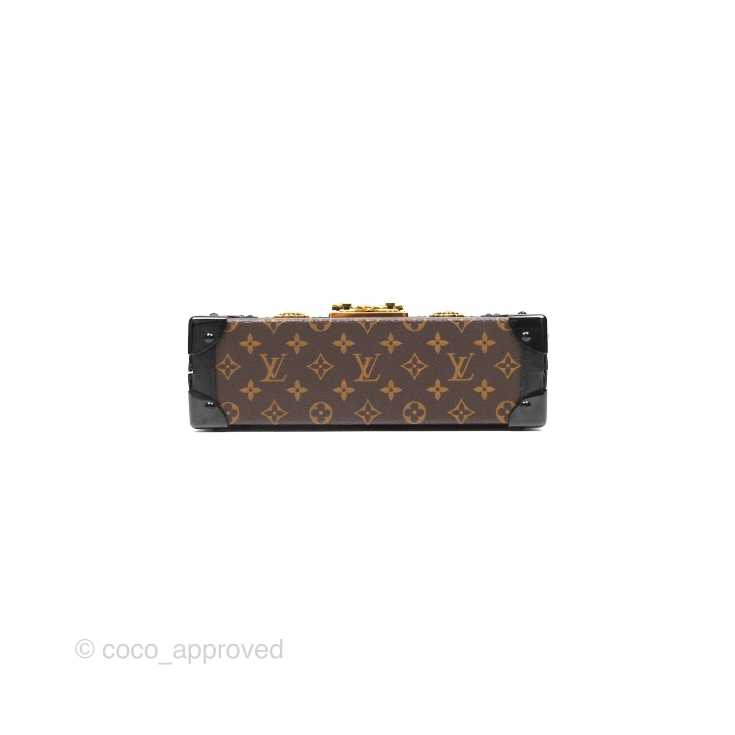 Louis Vuitton Monogram Petite Malle