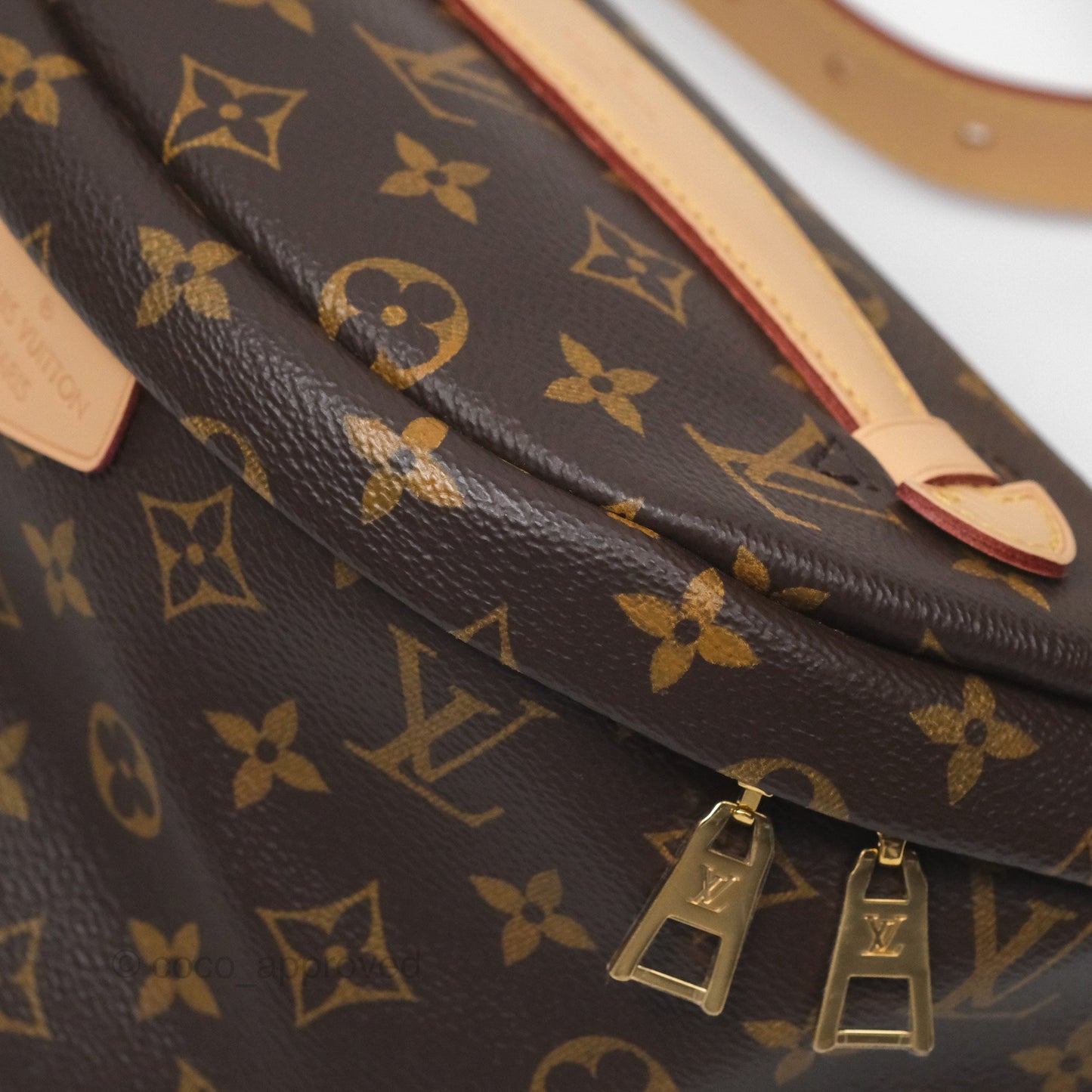 Louis Vuitton Bum Bag Monogram Canvas