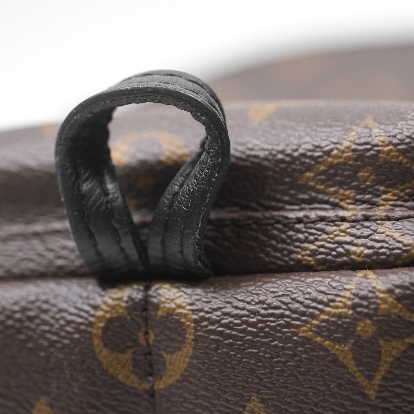 Louis Vuitton Monogram Mini Palm Springs Backpack⁣