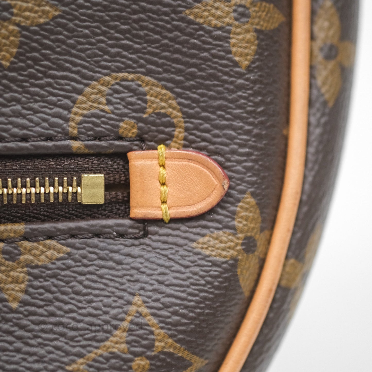Louis Vuitton Loop Monogram Canvas
