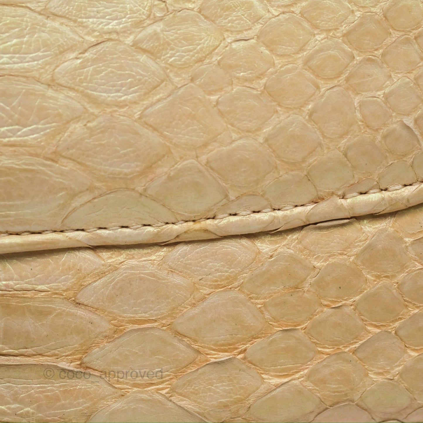 Chanel Jumbo Double Flap Iridescent Gold Python Gold Hardware⁣⁣