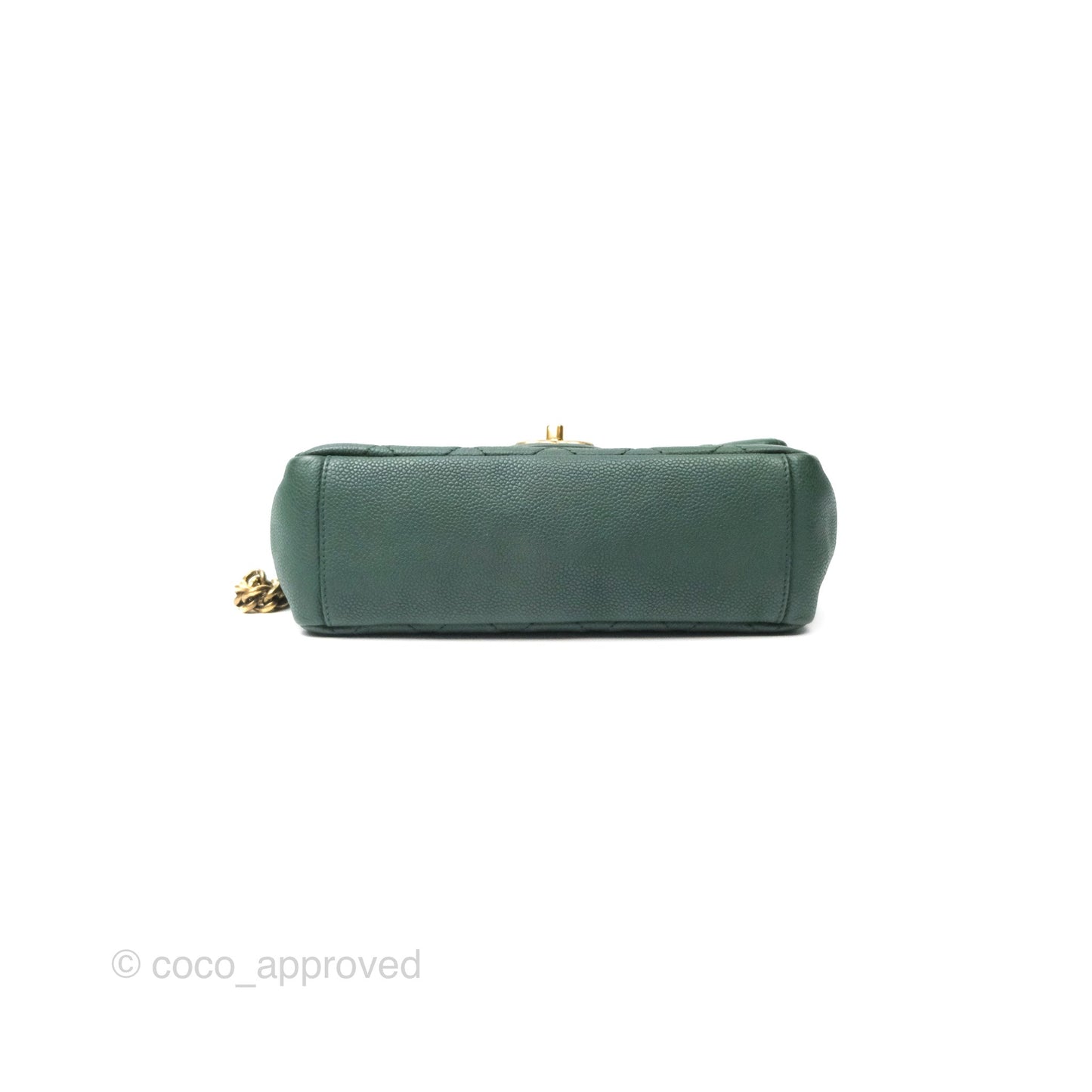 Chanel Globe Trotter Flap Bag Dark Green Caviar Aged Gold Hardware