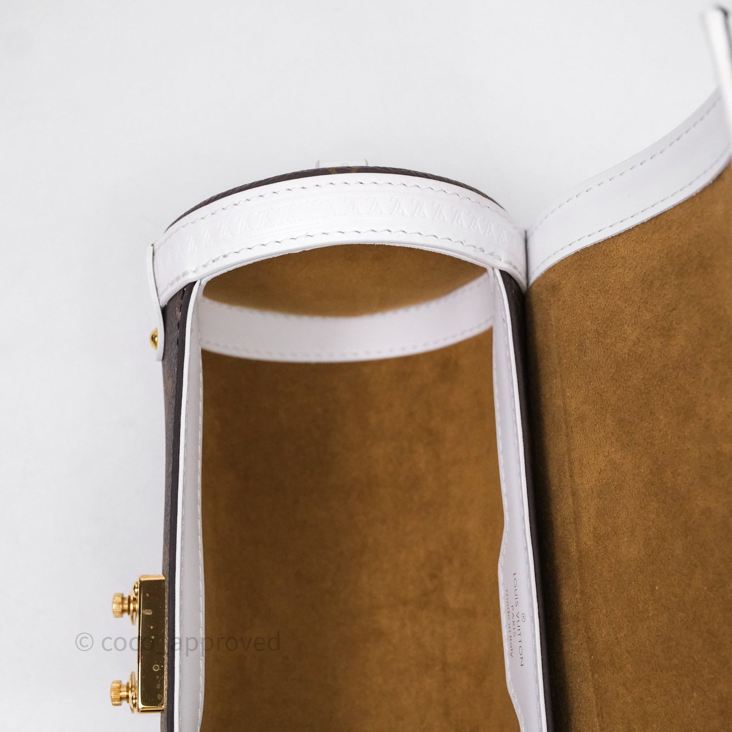 Louis Vuitton Monogram Papillon Trunk Bag