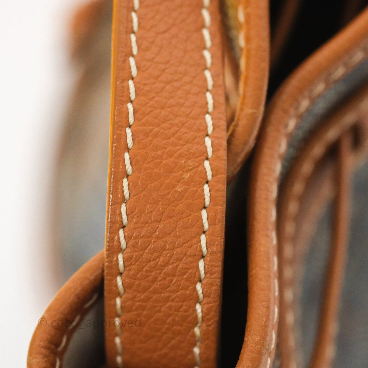 Goyard Petit Flot Bucket Bag Black & Tan Goyardine