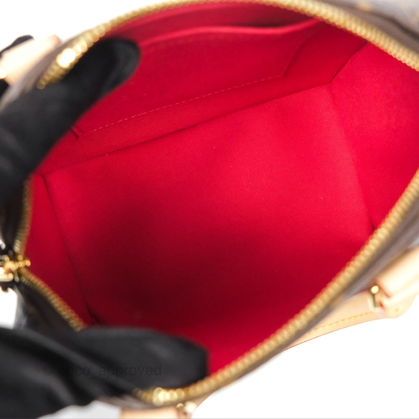 Louis Vuitton Speedy Bandoulière 20 Monogram