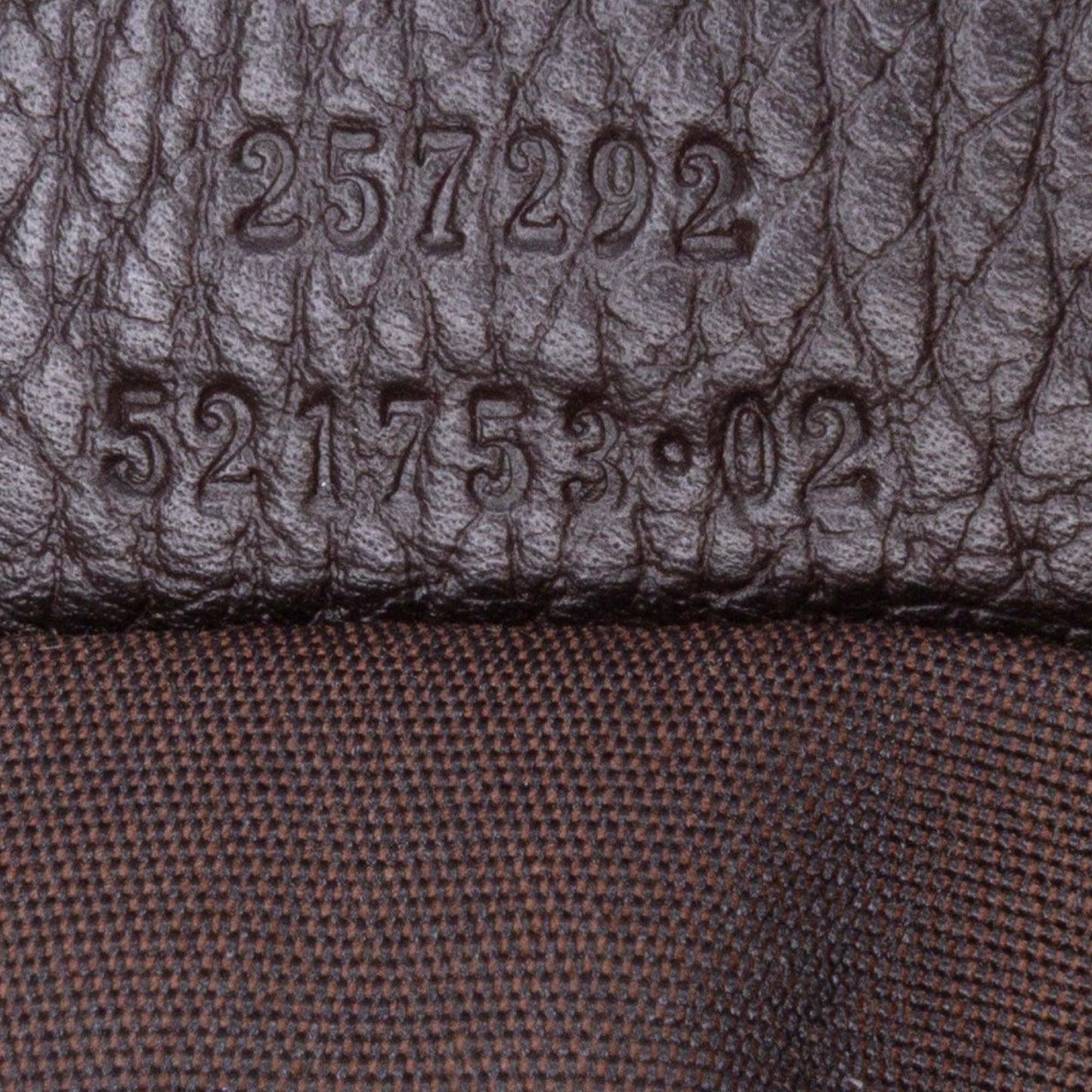 Gucci Canvas Reins Hobo Bag