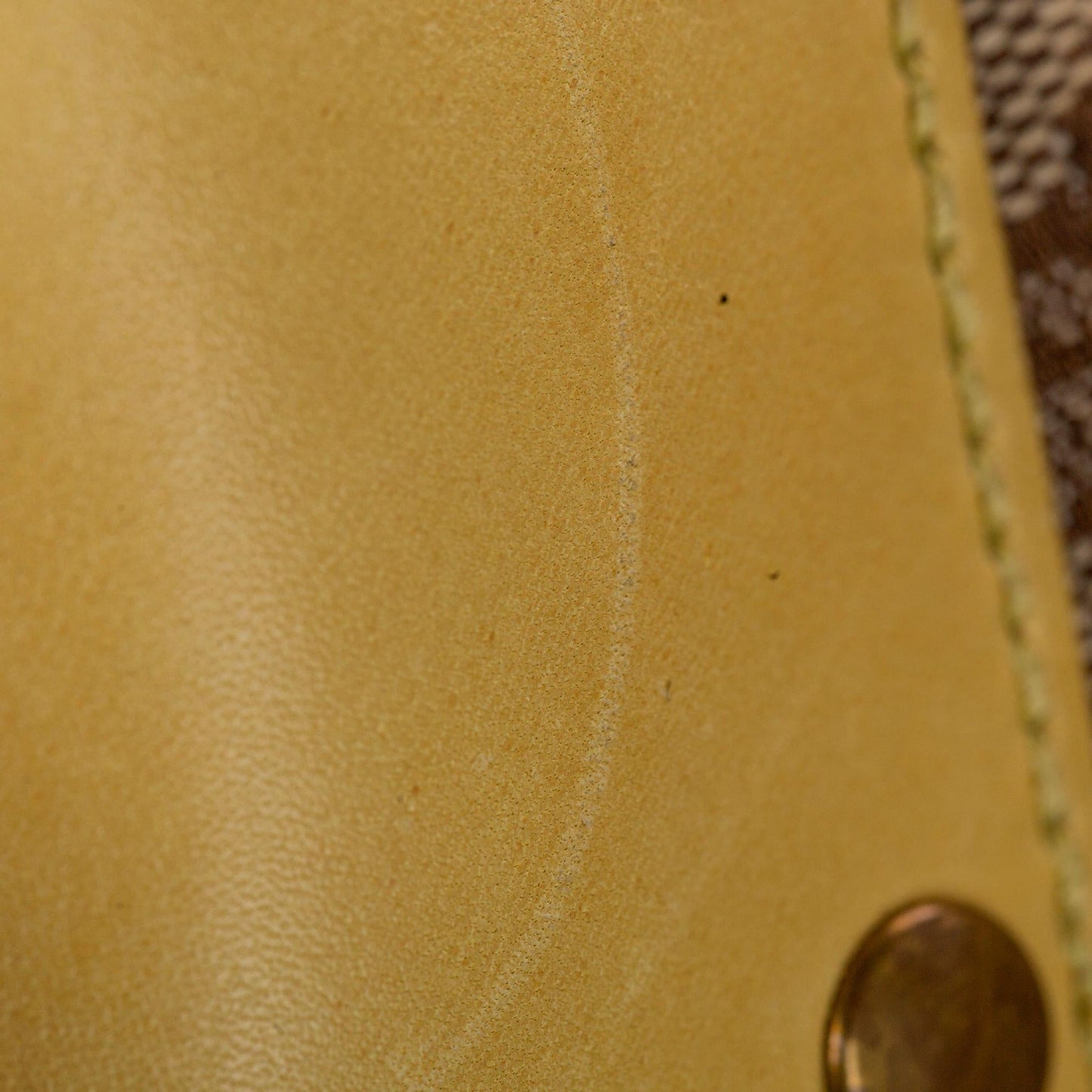 Gucci GG Canvas Shoulder Bag (SHG-31903)