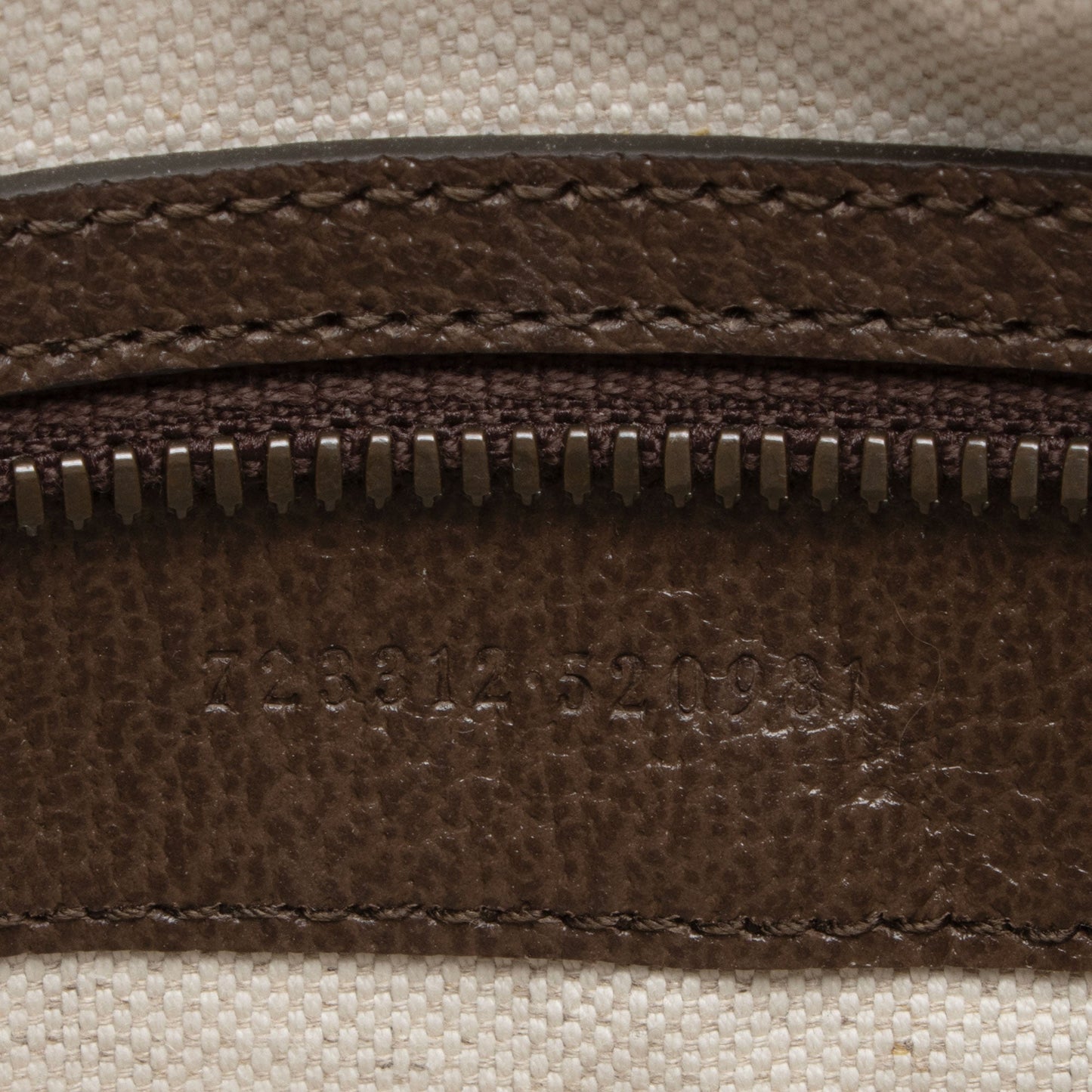 Gucci GG Supreme Ophidia Camera Bag