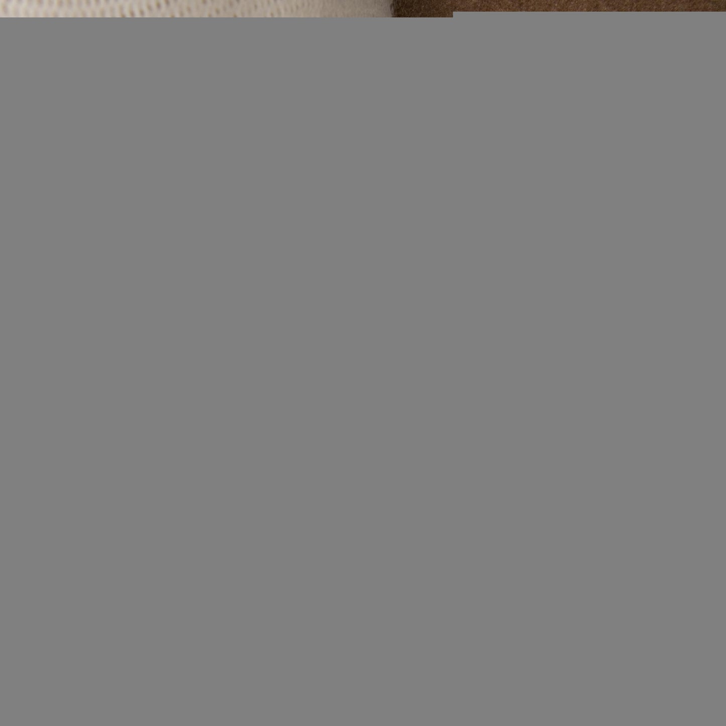 Gucci Medium GG Supreme Blooms and Bee Dionysus Shoulder Bag