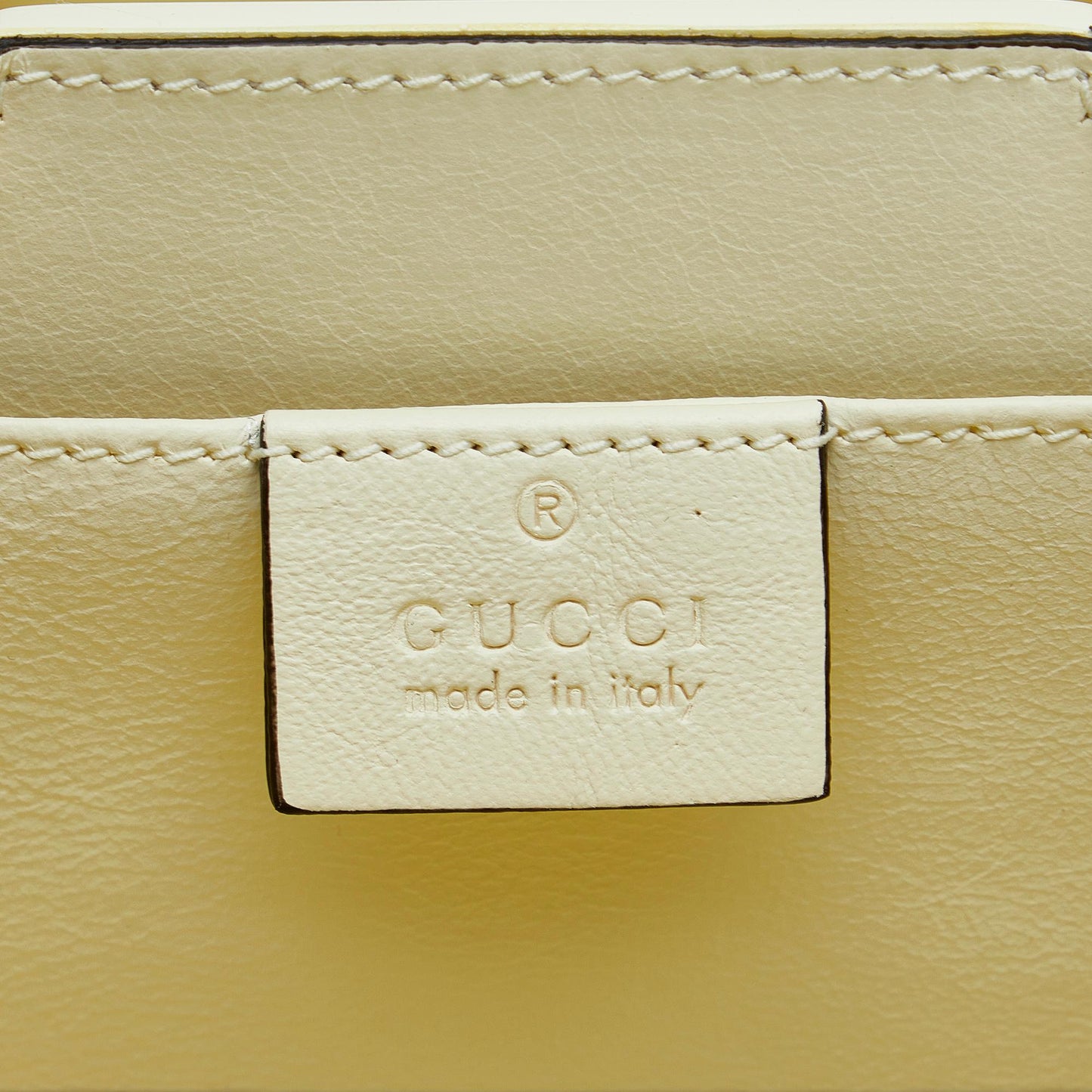Gucci Mini Plexiglass Sylvie 1969 (SHG-RffcW2)