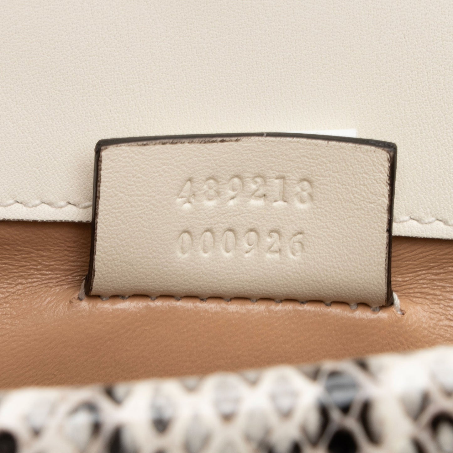 Gucci Python Bee Broadway Mini Shoulder Bag (SHF-oTBA8i)