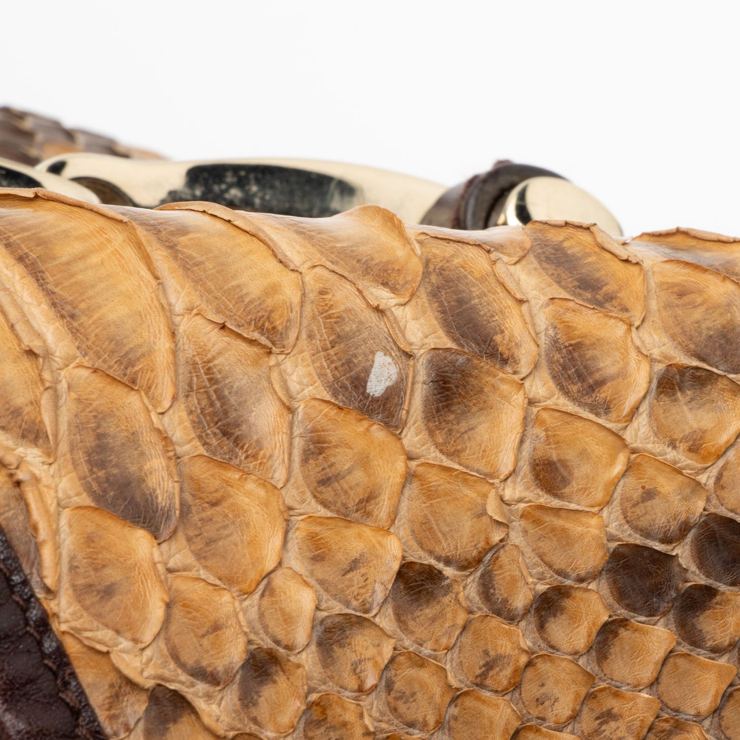 Gucci Python Pelham Medium Shoulder Bag