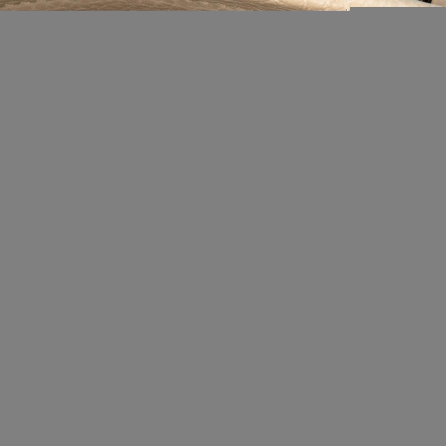 Gucci Small GG Canvas Bree Satchel