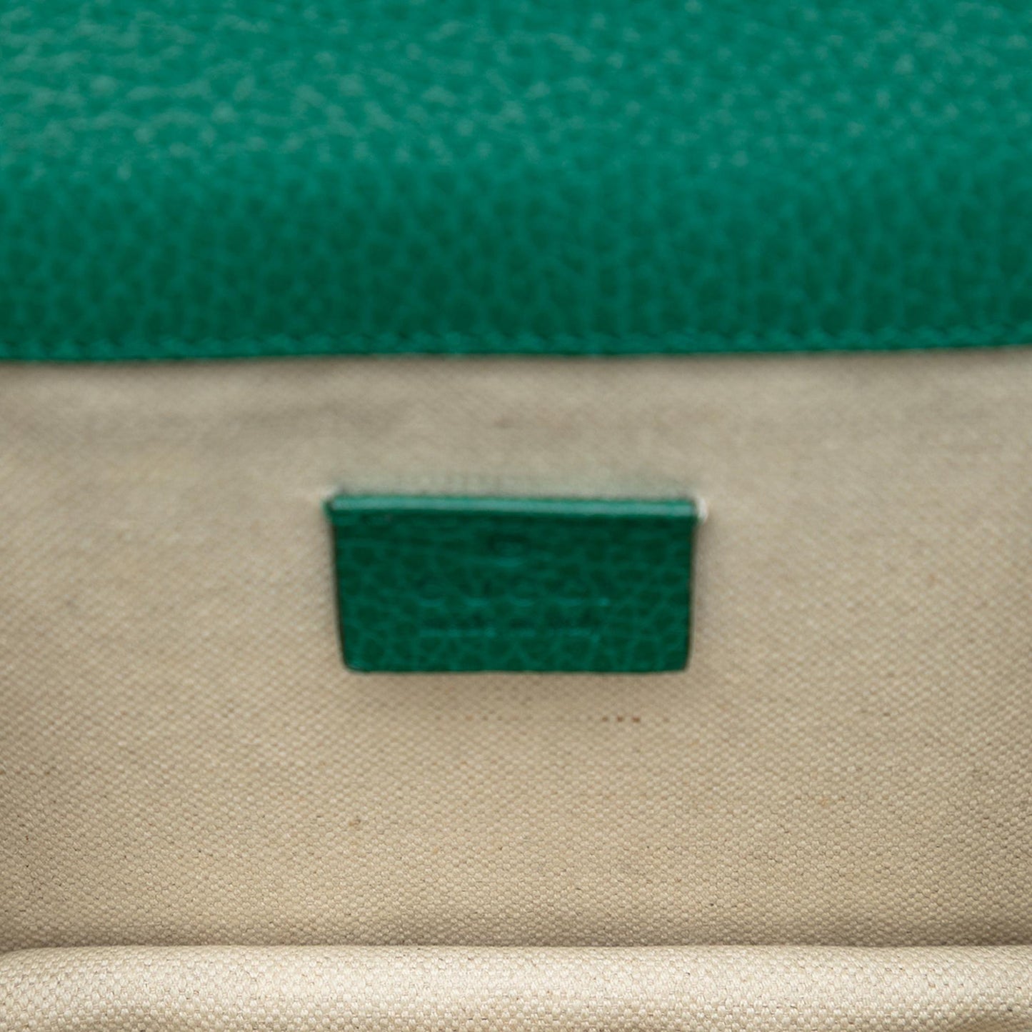 Gucci Small Leather Dionysus Crossbody