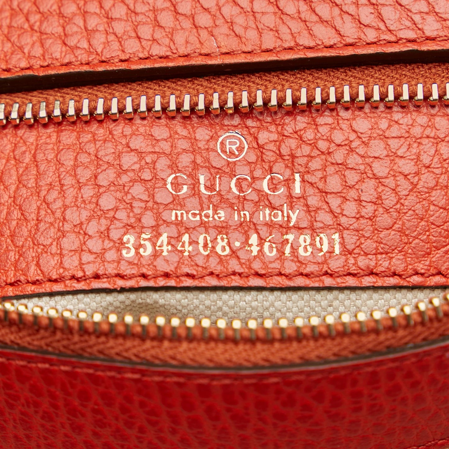 Gucci Swing Leather Tote Bag (SHG-30515)