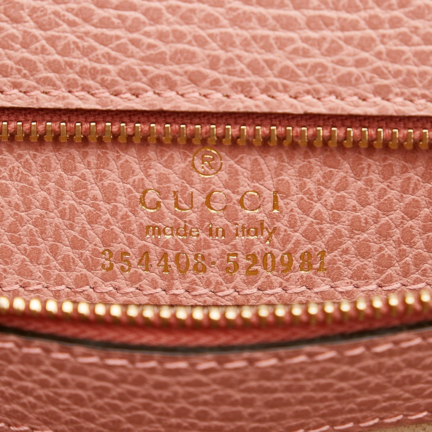 Gucci Swing Leather Tote Bag (SHG-35612)