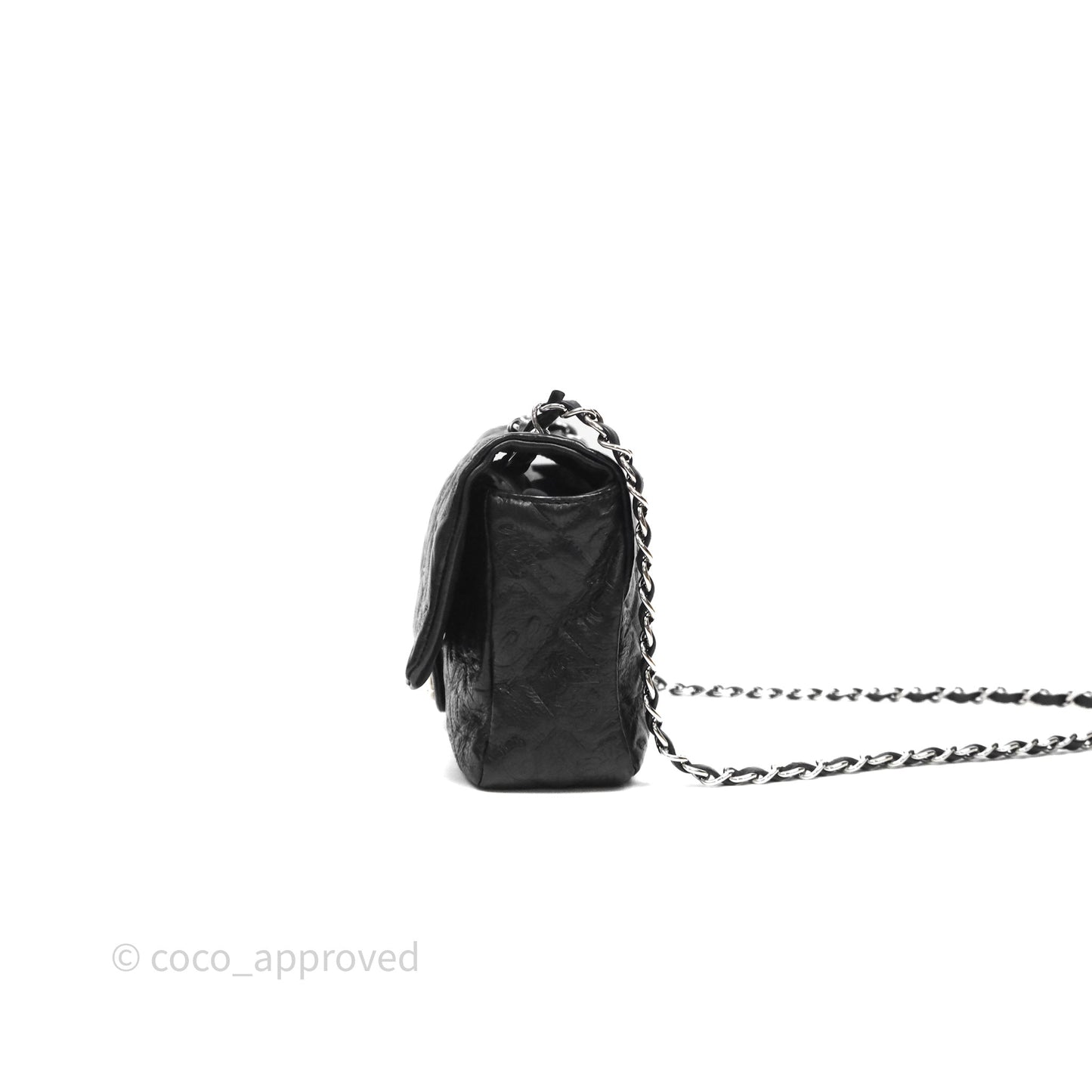 Chanel Small Embroidered Flap Bag Black Silver Hardware