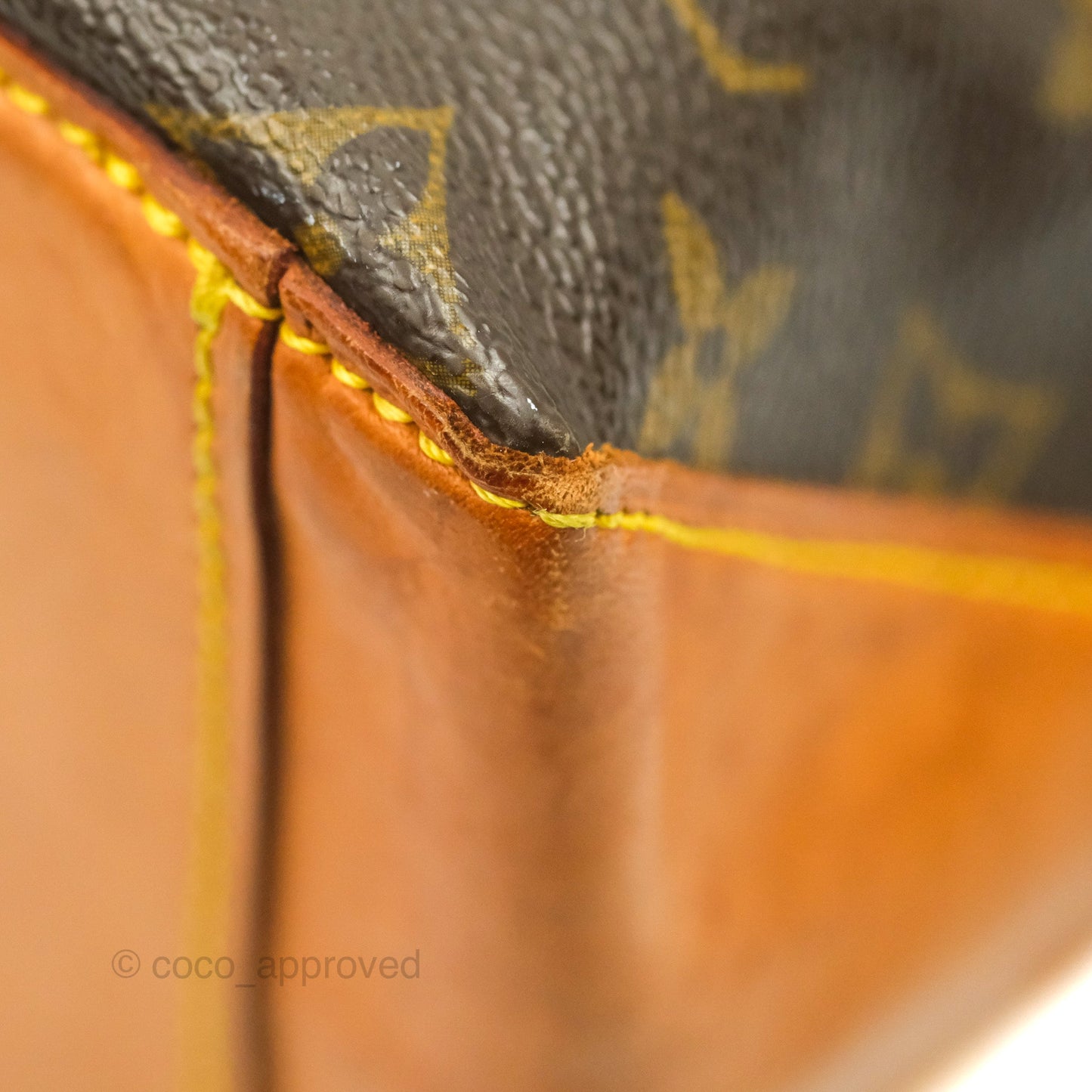 Louis Vuitton Monogram Canvas Tote Bag