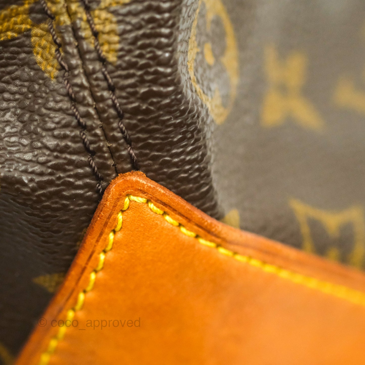 Louis Vuitton Monogram Canvas Tote Bag