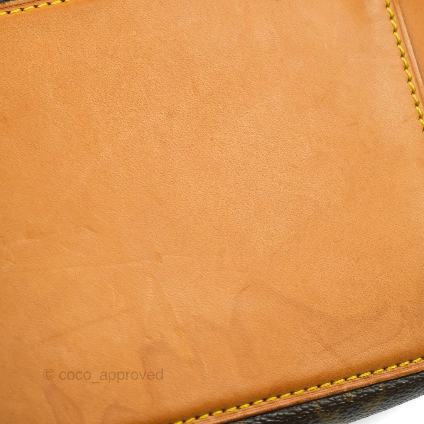 Louis Vuitton Monogram Canvas Tote Bag