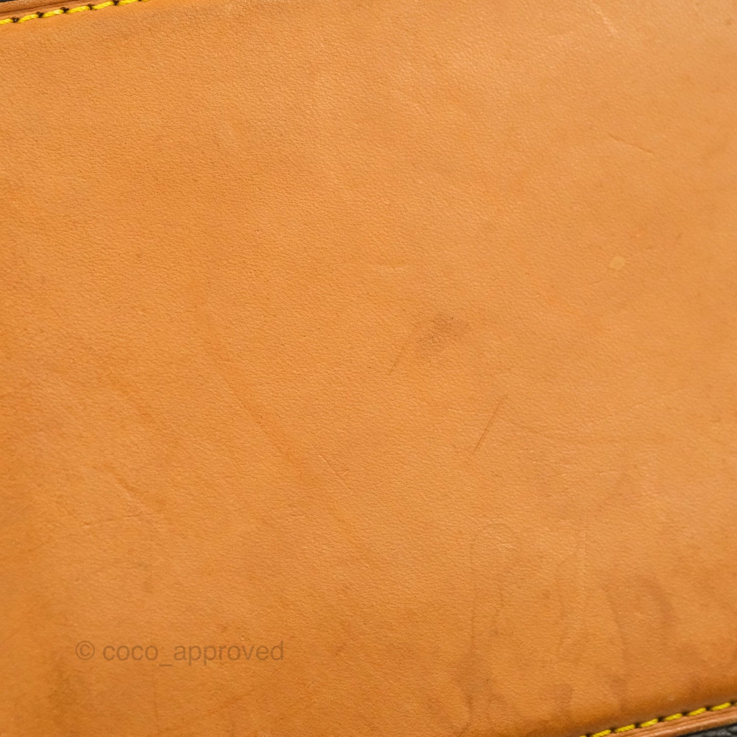 Louis Vuitton Monogram Canvas Tote Bag