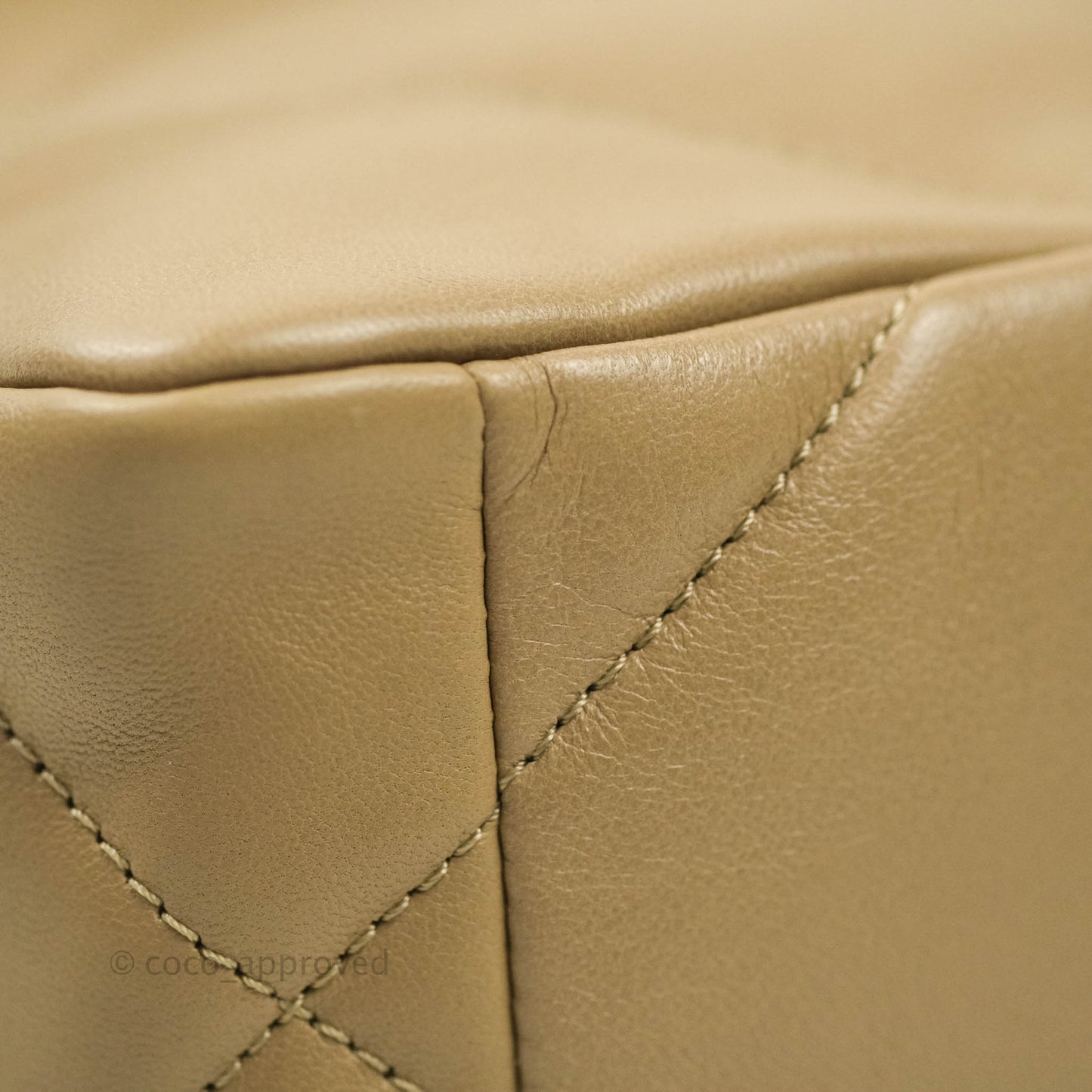 Chanel 19 Small Dark Beige Mixed Hardware 21S