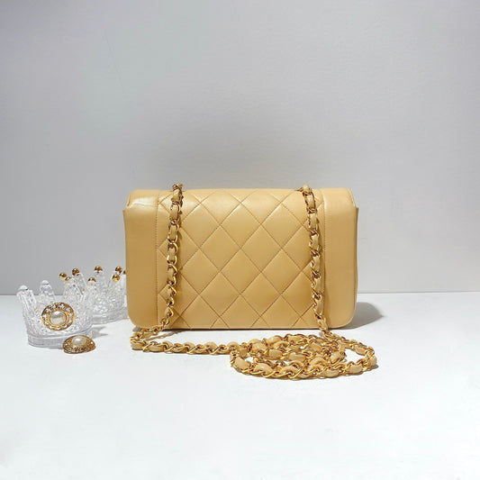 No.2420-Chanel Vintage Diana Bag 22cm