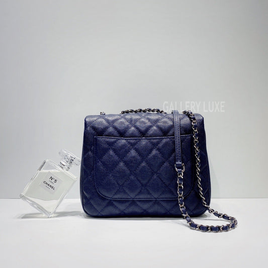 No.3441-Chanel Caviar Urban Companion Flap Bag