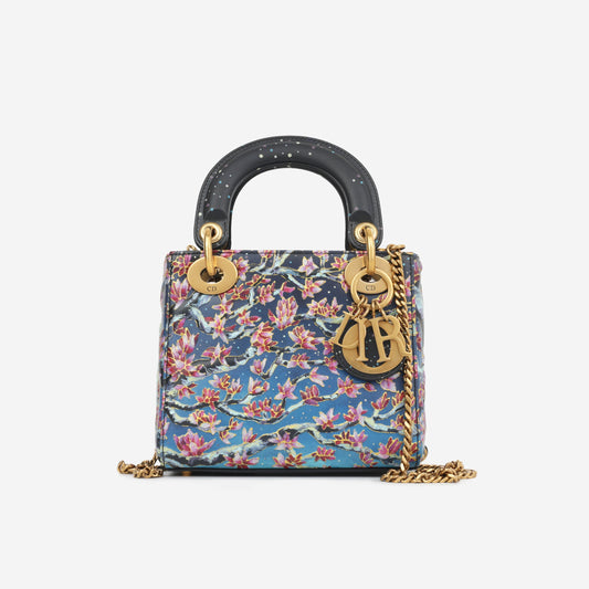 Luxury Dior Mini Lady Luxury Dior Art