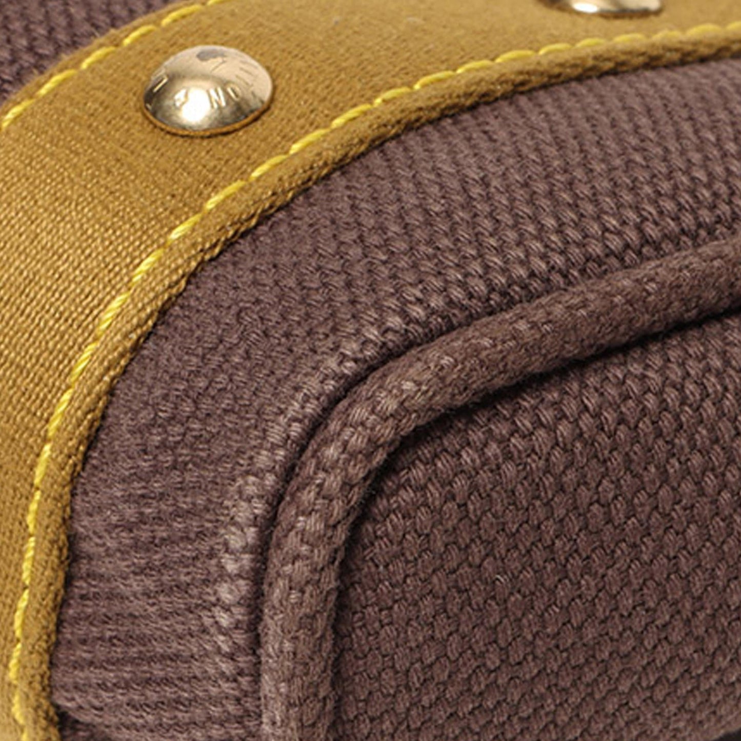 Louis Vuitton Antigua Cabas PM (SHG-xpo2r4)