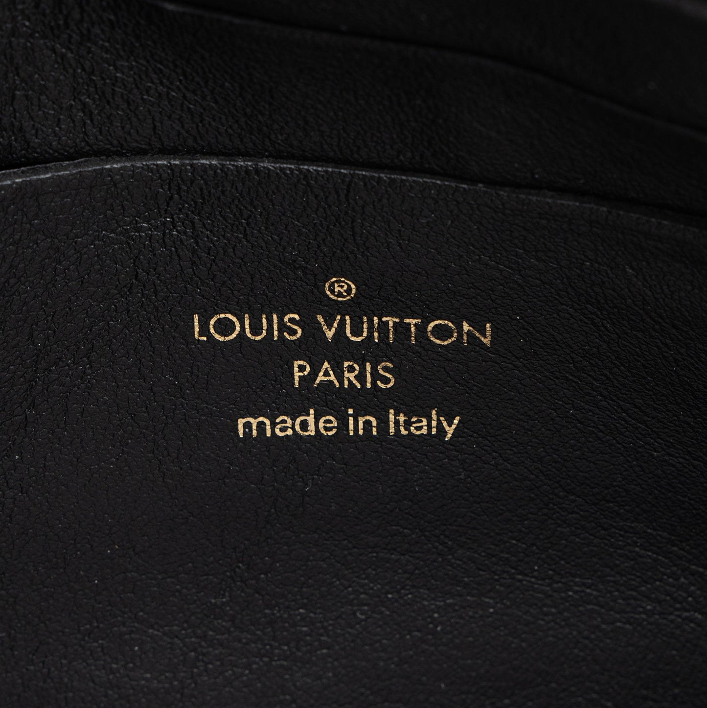 Louis Vuitton Bubblegram Calfskin Wallet on Strap