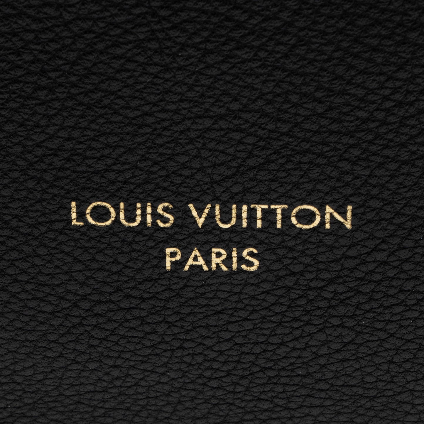 Louis Vuitton Calfskin Low Key MM Hobo