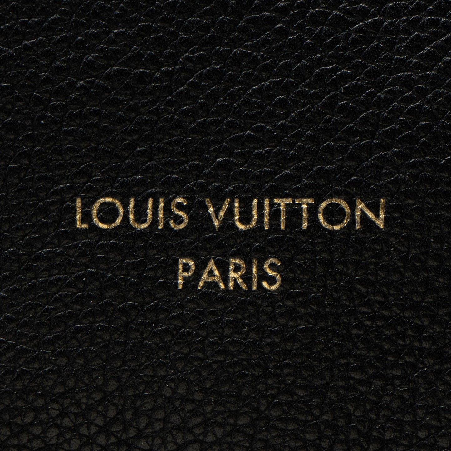 Louis Vuitton Calfskin Low Key MM Hobo