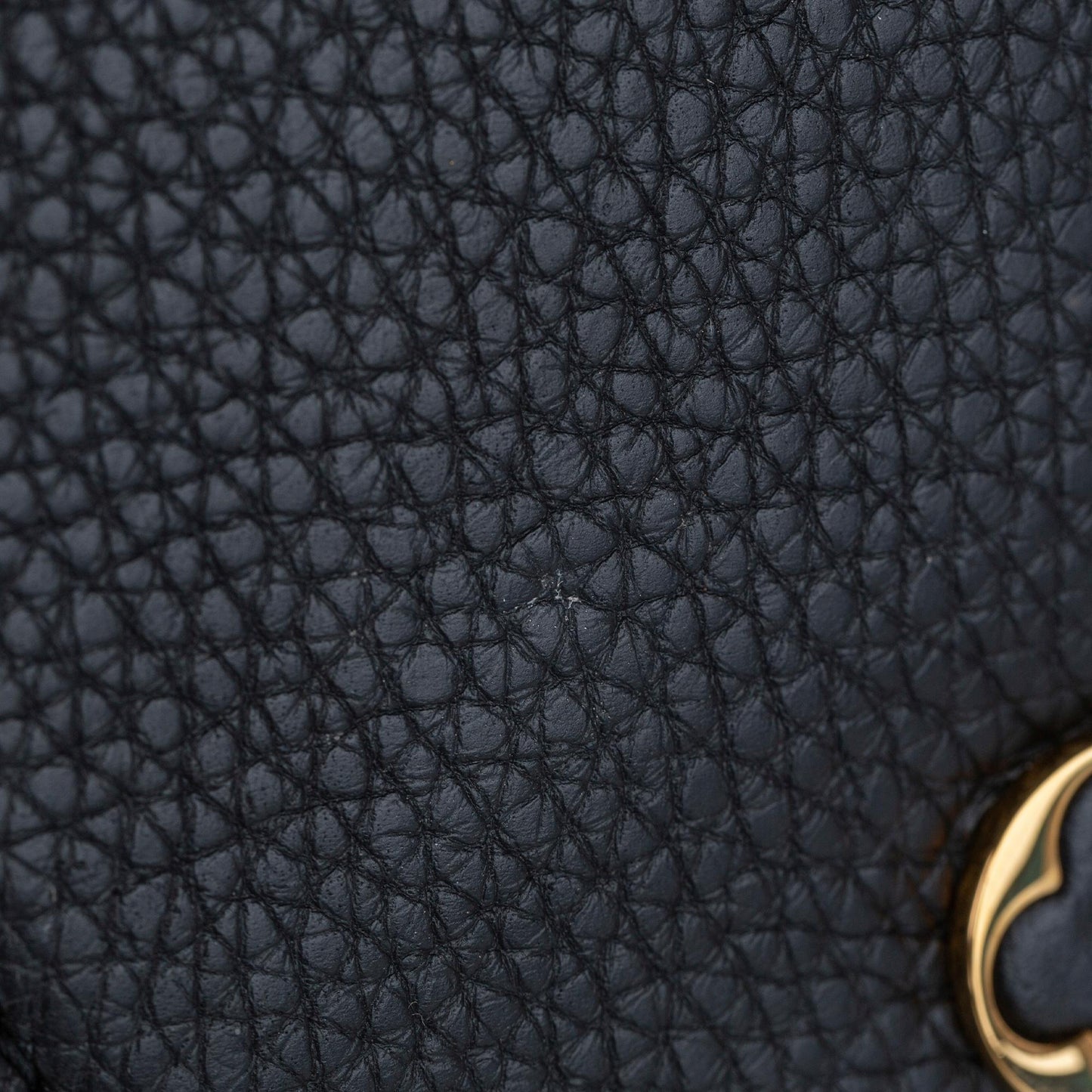 Louis Vuitton Capucines GM (SHG-28845)