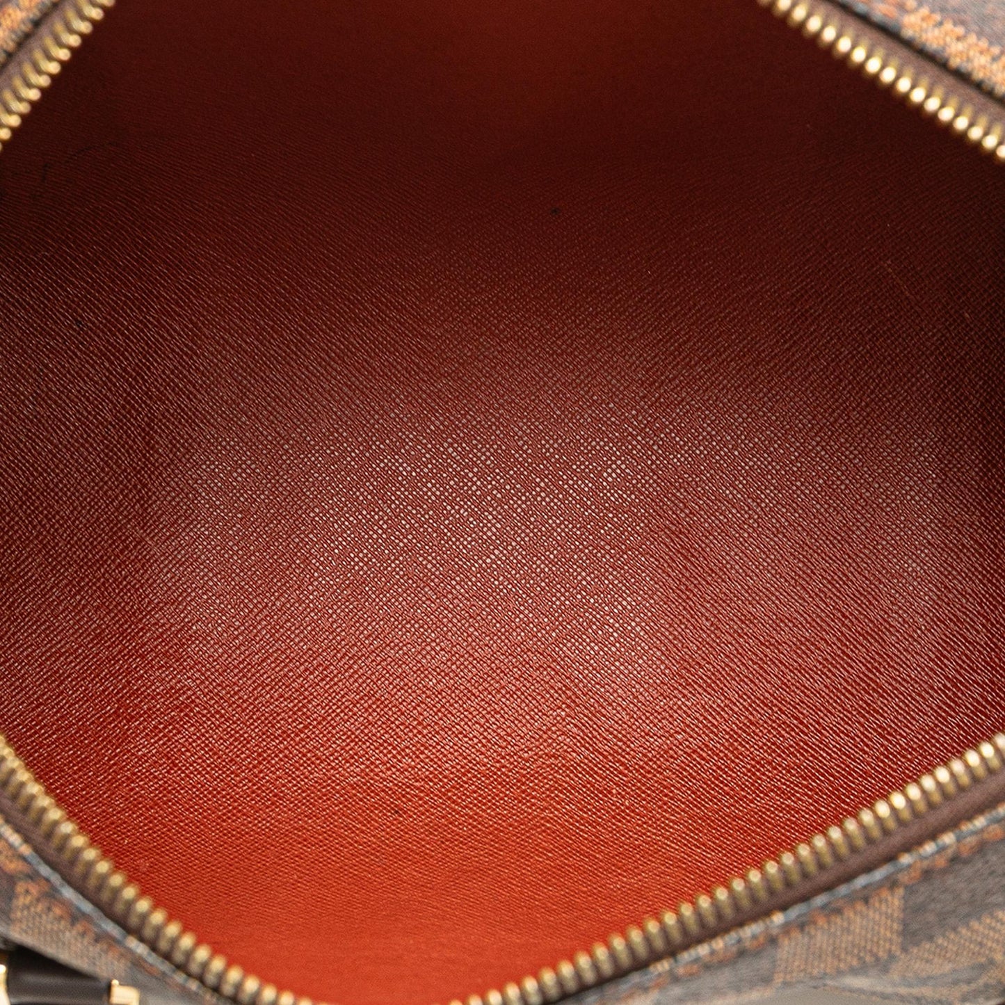 Louis Vuitton Damier Ebene Papillon 30