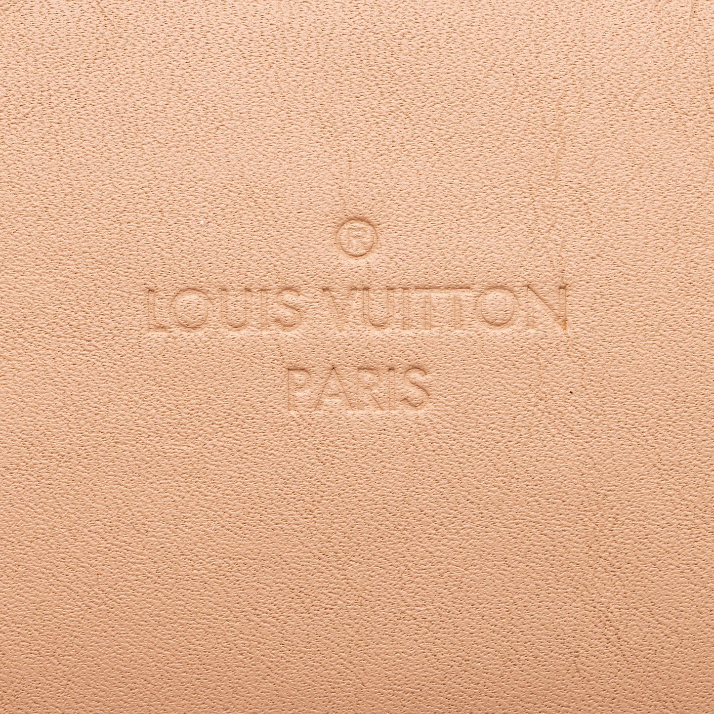 Louis Vuitton Damier Ebene Santa Monica Shoulder Bag (SHF-xbOCN7)