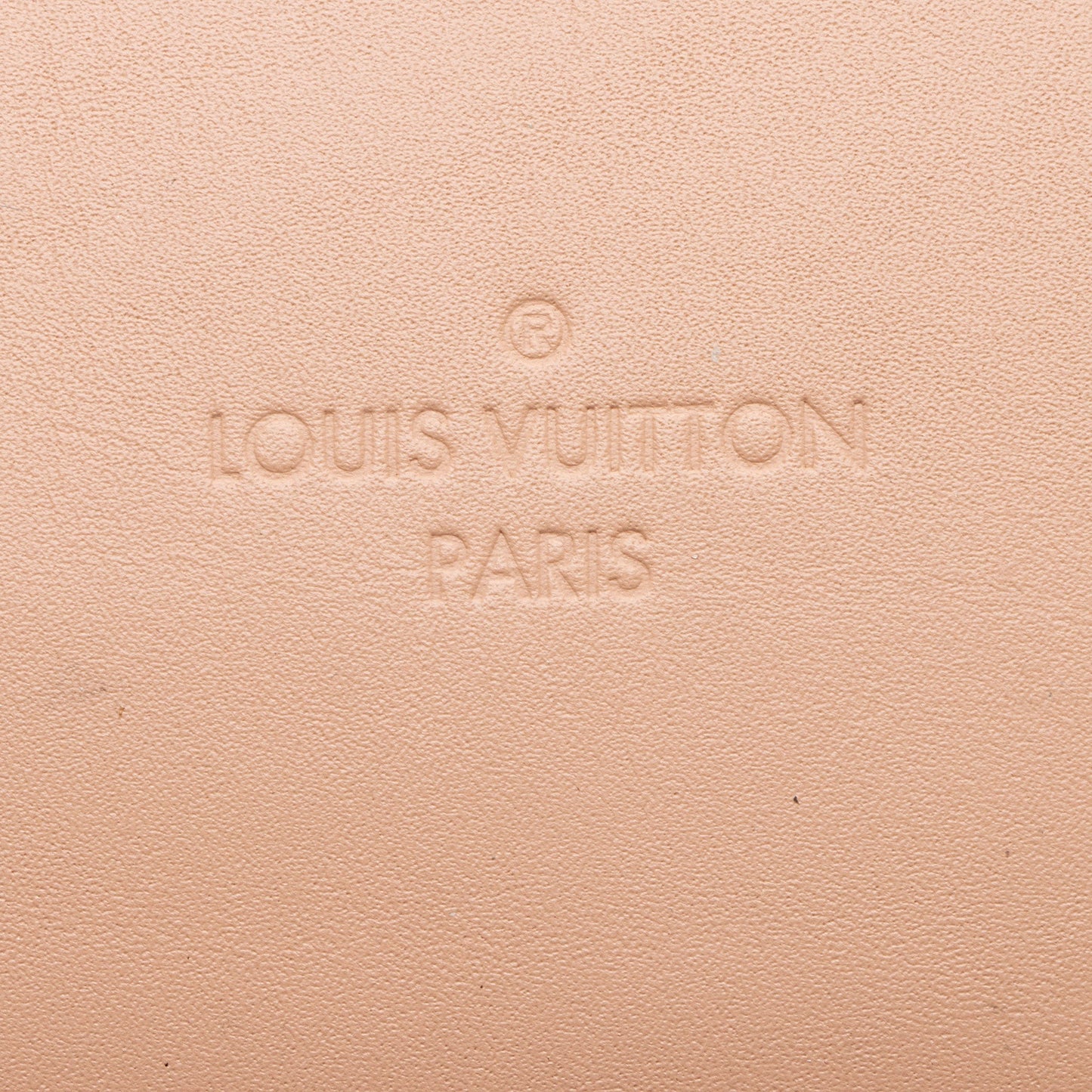 Louis Vuitton Damier Ebene Santa Monica Shoulder Bag