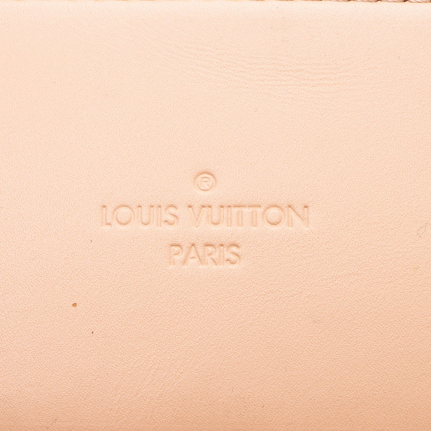 Louis Vuitton Damier Ebene Santa Monica Shoulder Bag