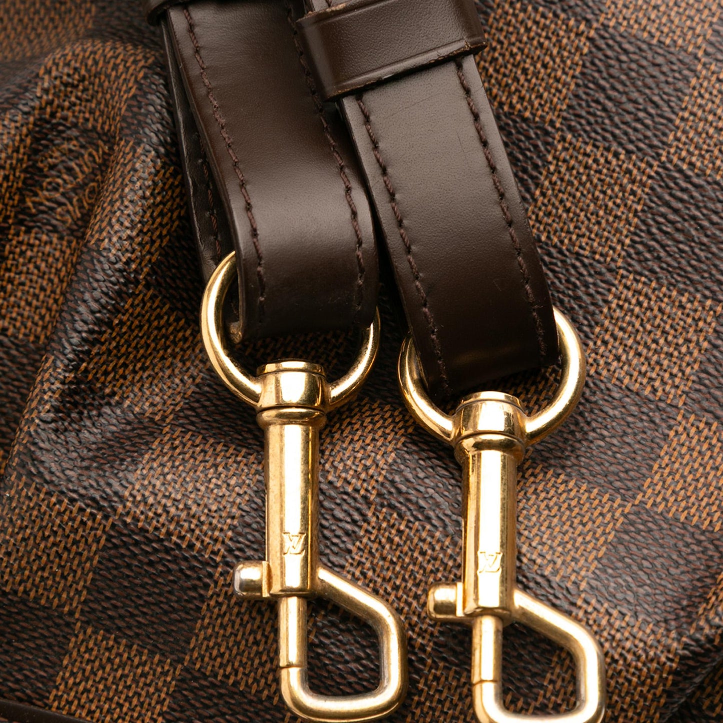 Louis Vuitton Damier Ebene Trevi PM