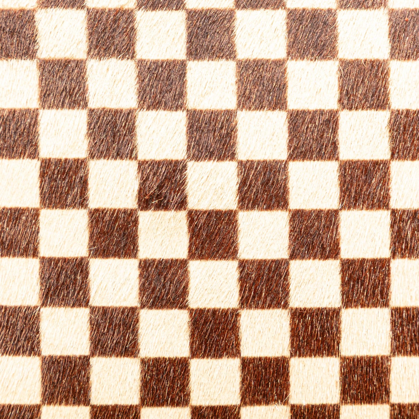 Louis Vuitton Damier Sauvage Lionne