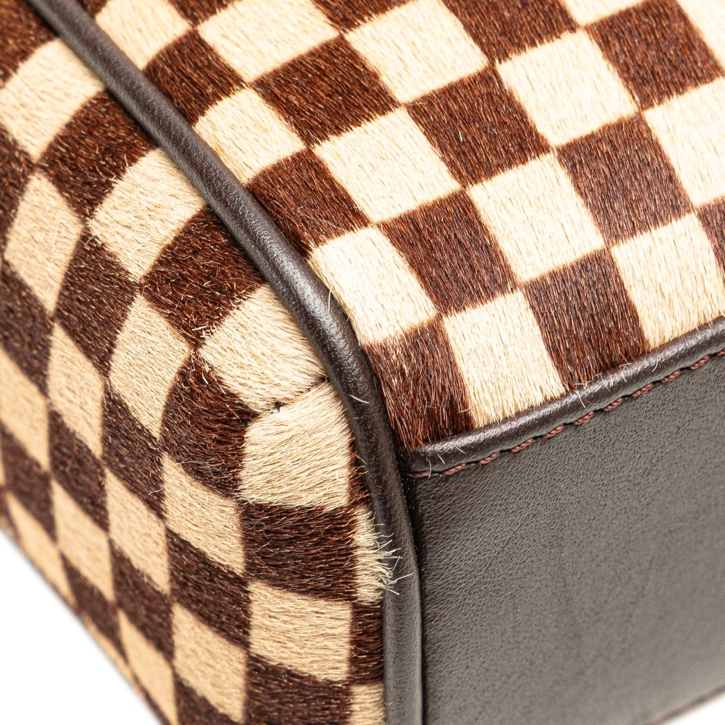 Louis Vuitton Damier Sauvage Lionne