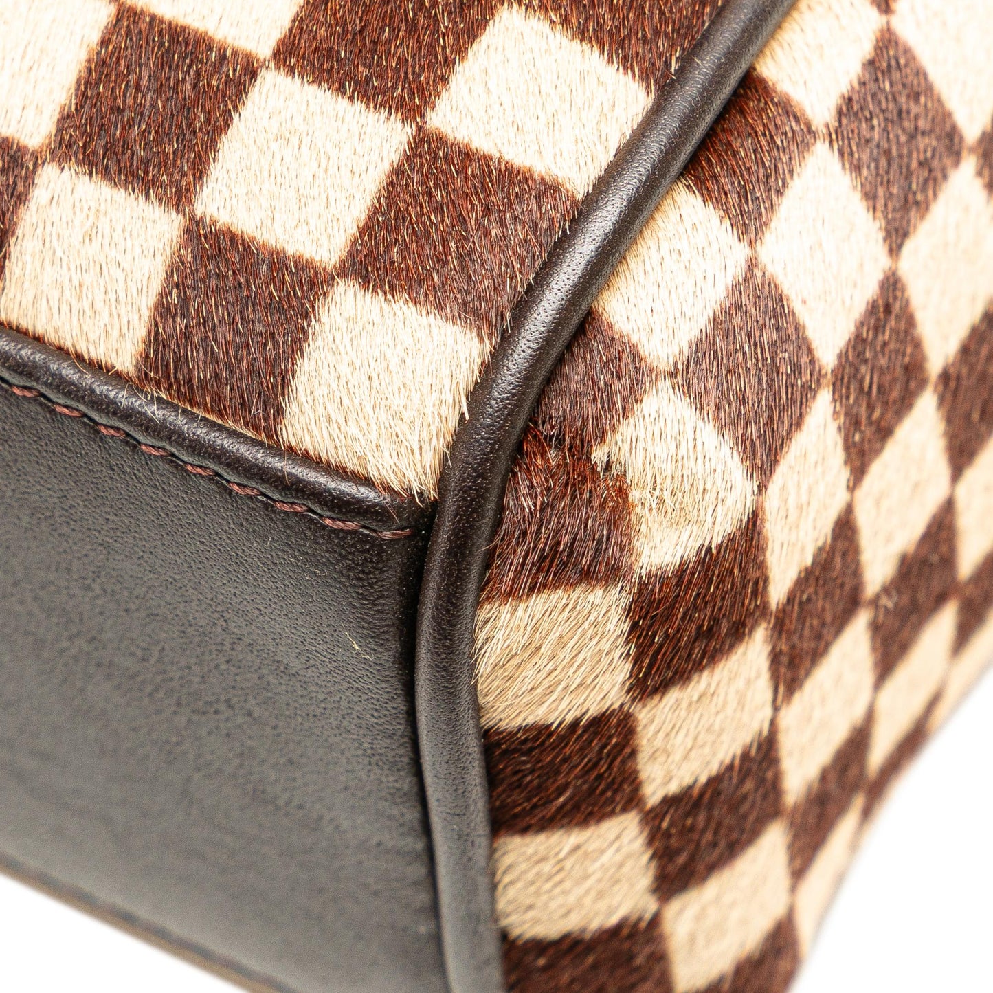 Louis Vuitton Damier Sauvage Lionne