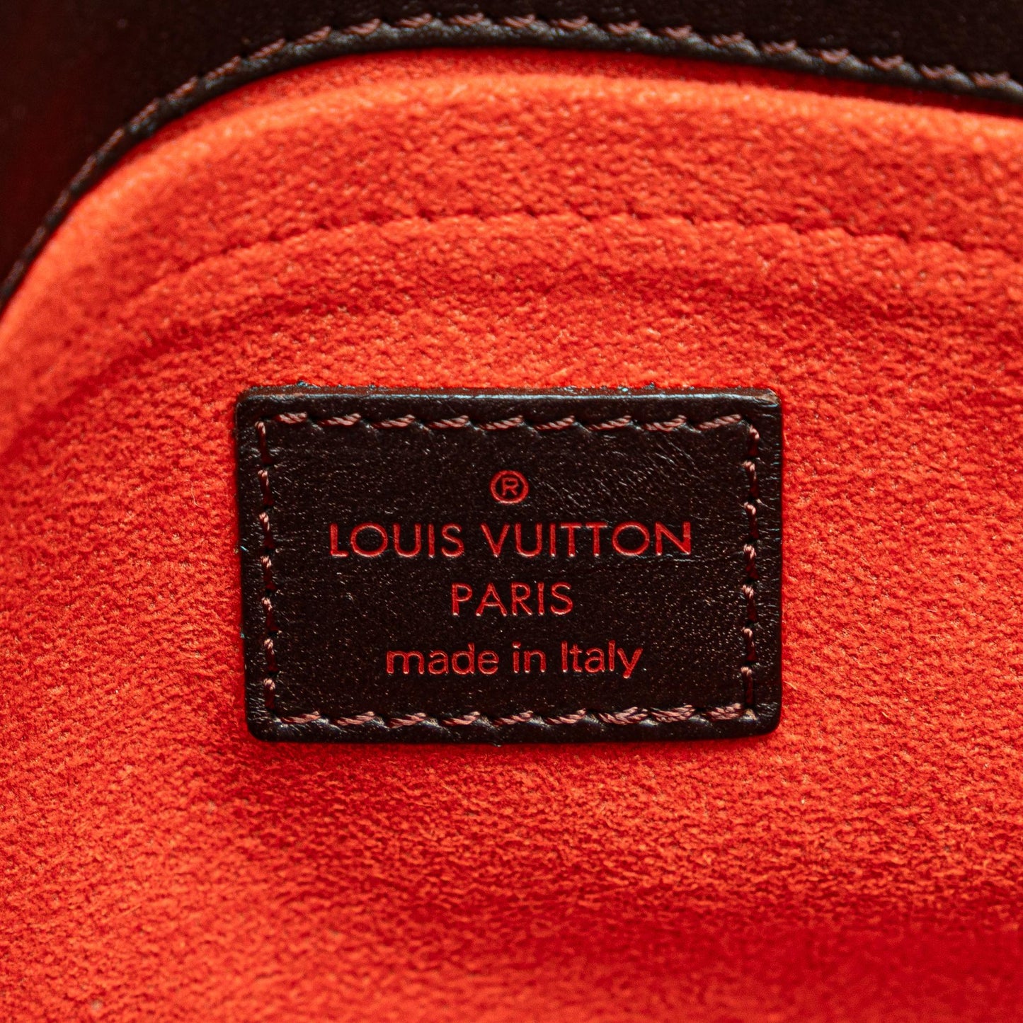 Louis Vuitton Damier Sauvage Lionne