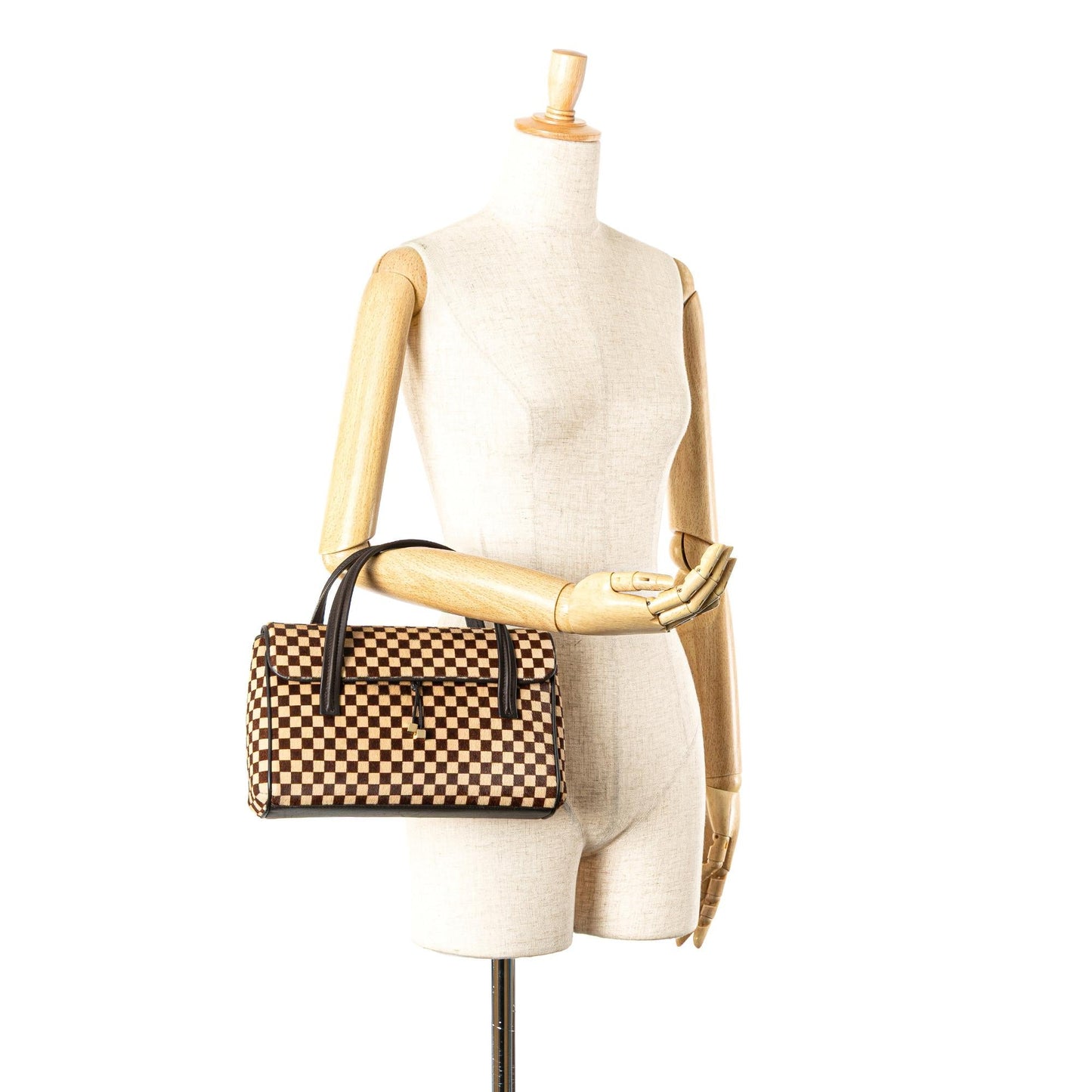 Louis Vuitton Damier Sauvage Lionne