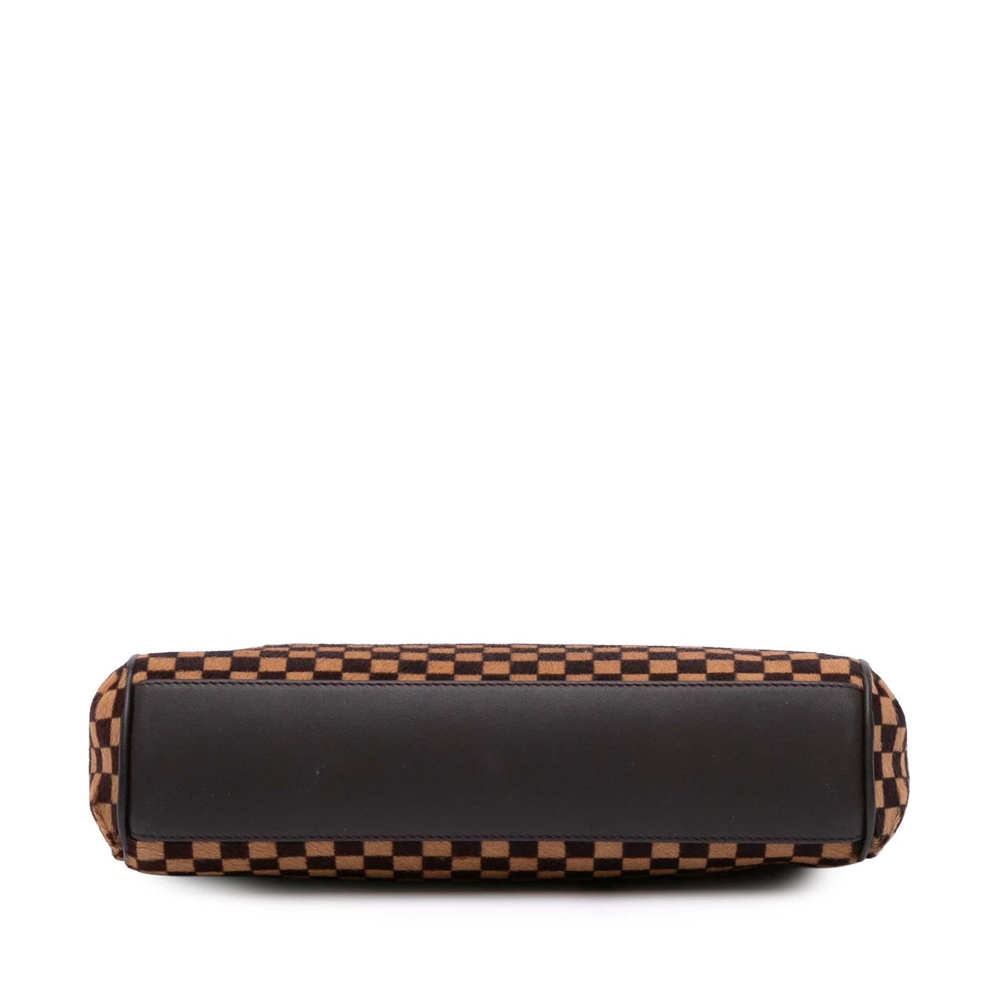Louis Vuitton Damier Sauvage Lionne