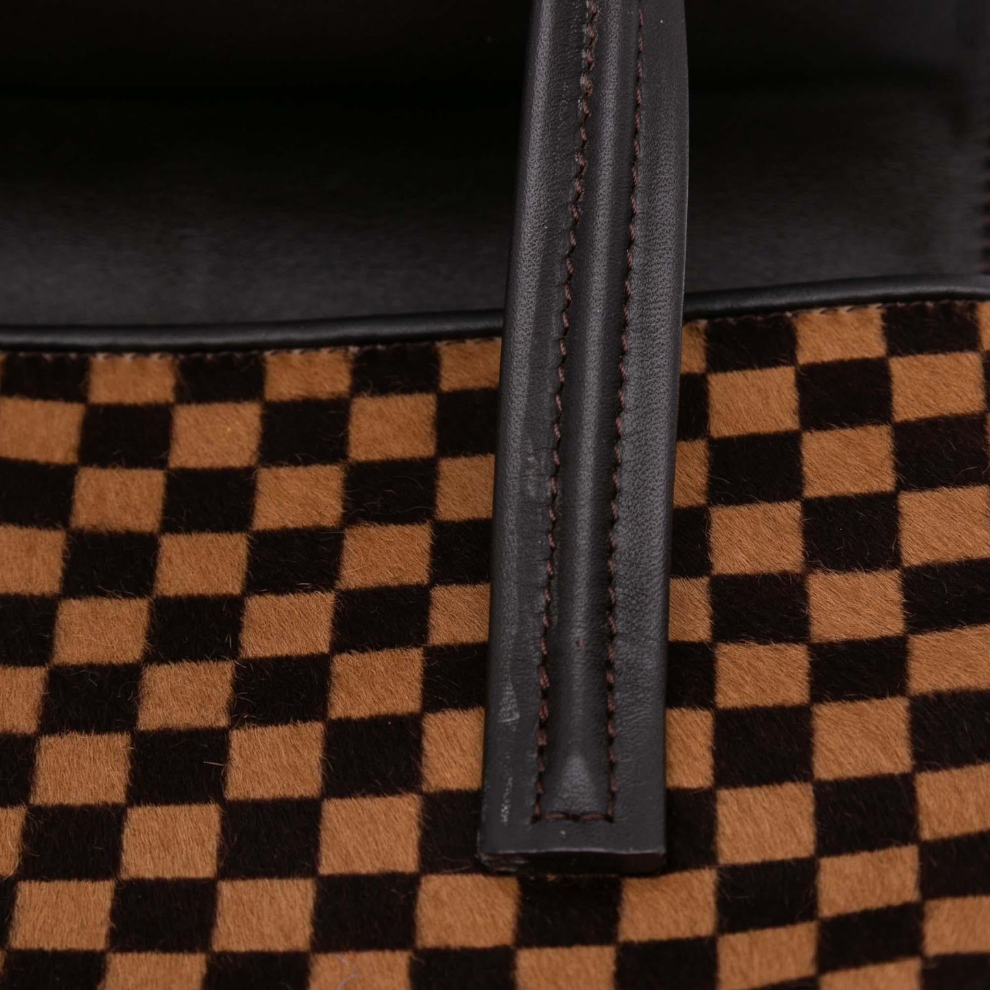 Louis Vuitton Damier Sauvage Lionne