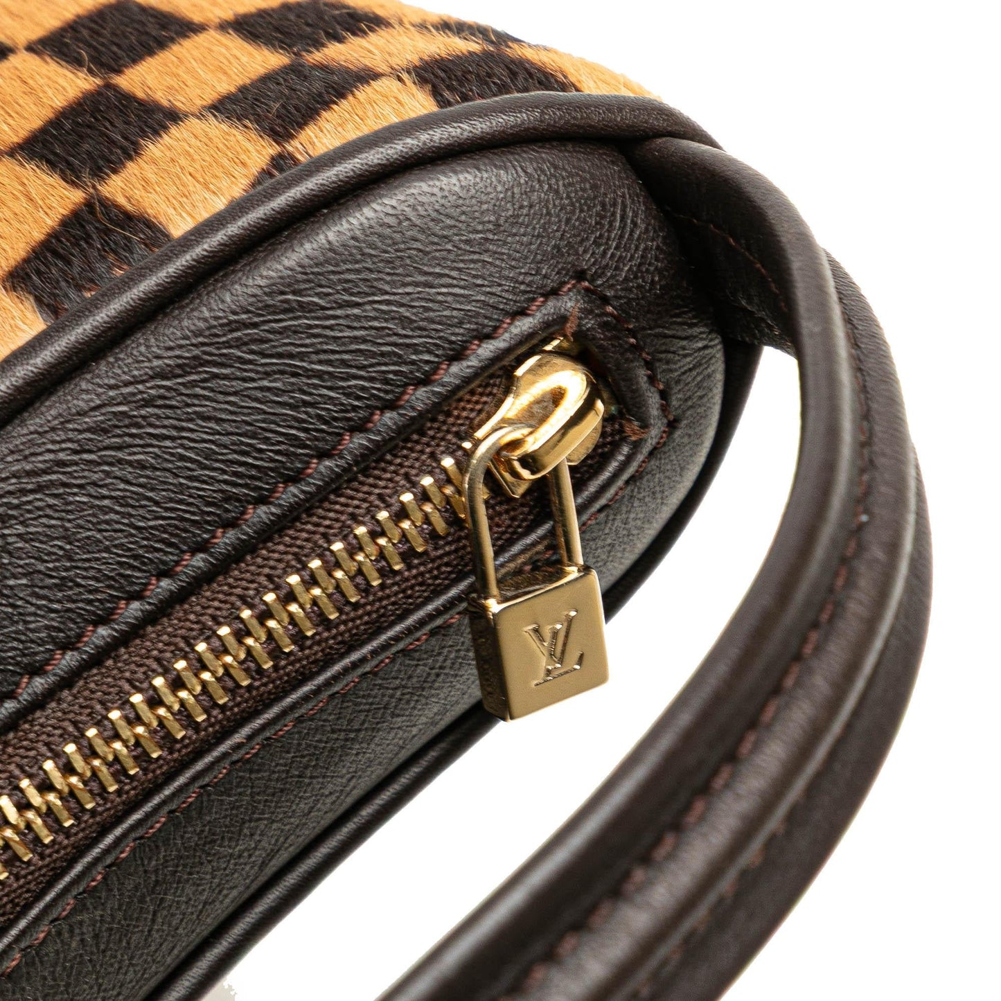 Louis Vuitton Damier Sauvage Tigre