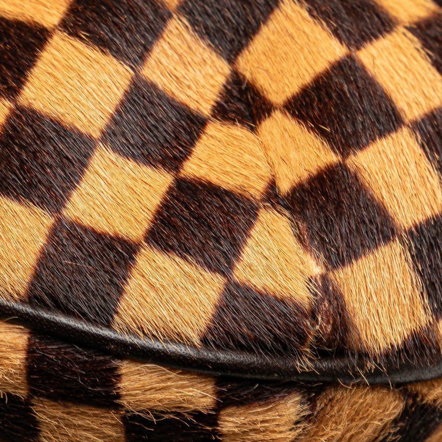 Louis Vuitton Damier Sauvage Tigre